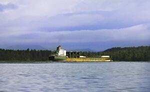 Container ship