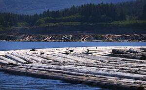 Log driving