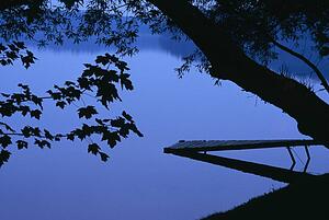 Lake and trees at dusk 