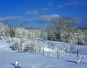 Winter scene 