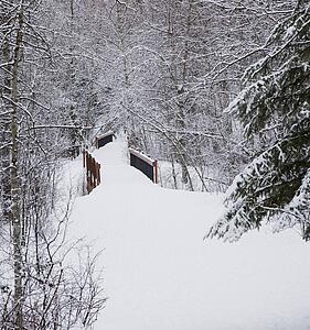 Snow on a bridge in the forest
