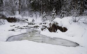 Creek in the snow