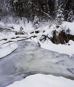 Creek in the snow
