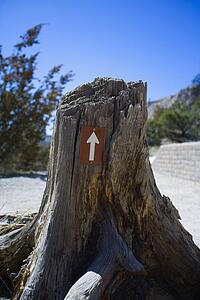 Arrow on tree stump pointing up