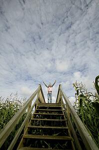 Person standing at the top of the stairs in a corn field
