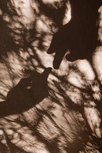 Shadows of two hands and fingers touching