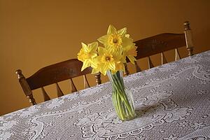 Bouquet of Daffodils
