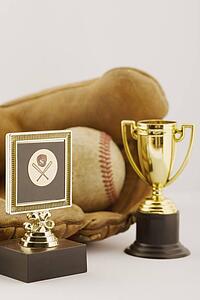Baseball trophies