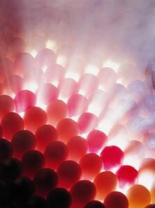 Light shining through eggs
