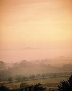 Misty Pastoral Scene, Co Wexford, Ireland