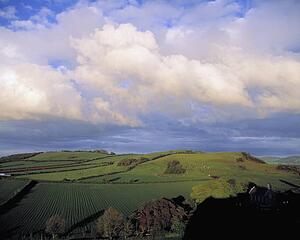 Fields around Dunamace, Co Laois, Ireland
