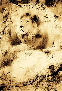 Old photograph of a lion on a rock