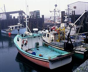 Fishing boats in a harbour