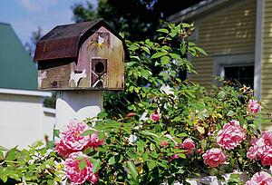 Bird house