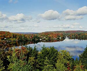 Still lake surrounded by trees