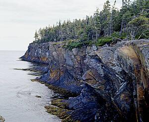Shoreline with rocky cliffs and forest above