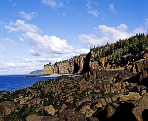 Rocky shoreline with forest area above
