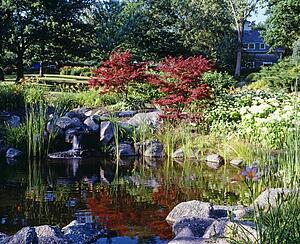 Garden beside water
