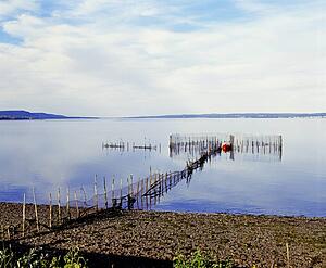 Lobster trap
