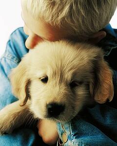 Boy hugging puppy