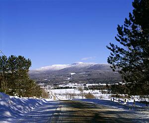Rural road in winter