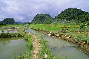 Rice fields and irrigation ditch in Yangshuo, Guanxi, China 