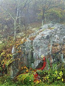 Shenandoah National Park in autumn, Virginia, USA