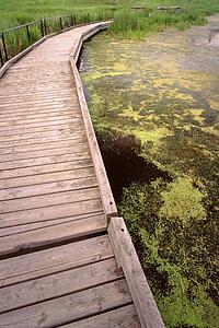 Boardwalk, Elk Island National Park, Alberta, Canada