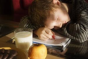 Boy sleeping on homework