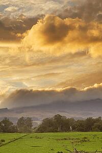 Sunrise above field with cloudy sky and trees 