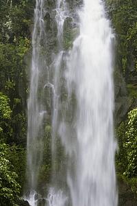 Waterfall in the forest