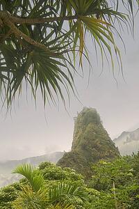 View of Iao Needle through palm trees, Maui, Hawaii, USA 