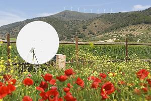 Poppy and Wild Flower Garden with Satellite dish in west of Álora, Malaga, Spain 