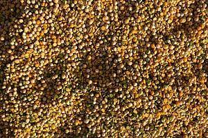 Closeup detail of grains