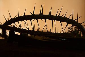 Silhouette of a crown of thorns