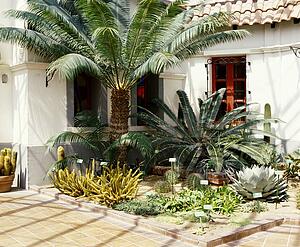 A home with cactus garden