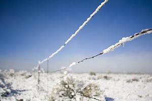 Barbed-wire fence in winter