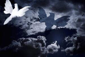 White dove flying into cloudy skies