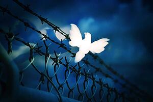White bird sitting on barbed wire fence