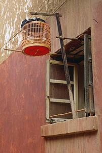 Birdcage hanging from a window in Beijing, China