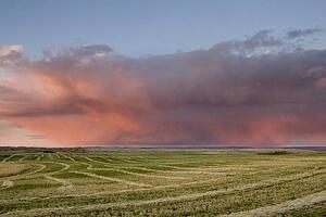 Storm cloud over field in Alberta, Canada 