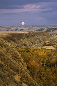 Moonrise in the badlands of Alberta, Canada 