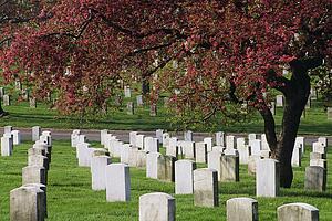 Arlington National Cemetery in Virginia, USA