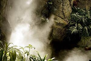 Foggy patch along rocks