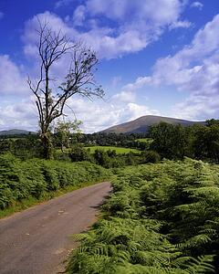 Rural Roads, Co Wicklow, Glen of Imail, Ireland