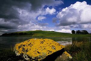Co Down, Strangford Lough, The Dorn Nature Reserve, Ireland