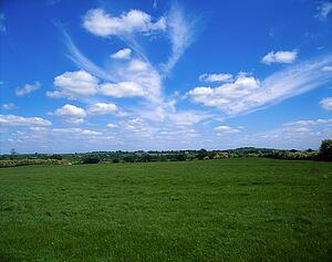Pastoral, Co Kildare, Ireland