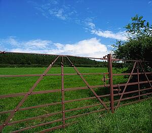 Farm gates, Comeragh Mountains, Co Waterford, Ireland