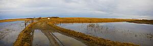 Flooded fields after rainfall