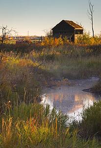 Abandoned shack and creek